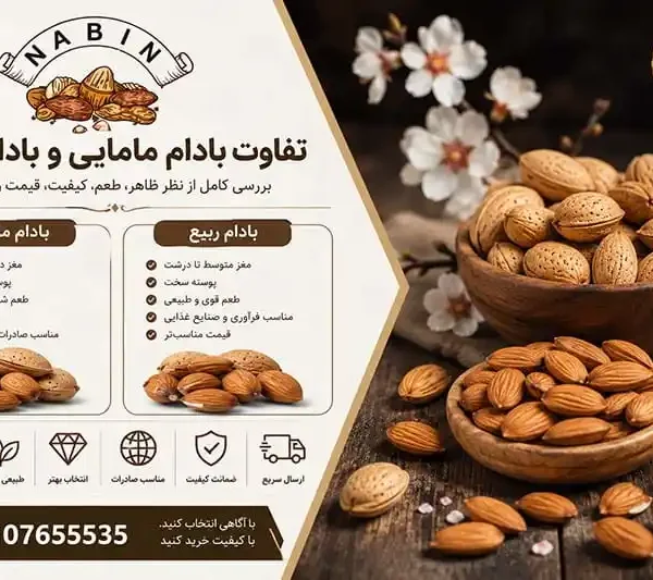 تفاوت بادام مامایی و بادام ربیع