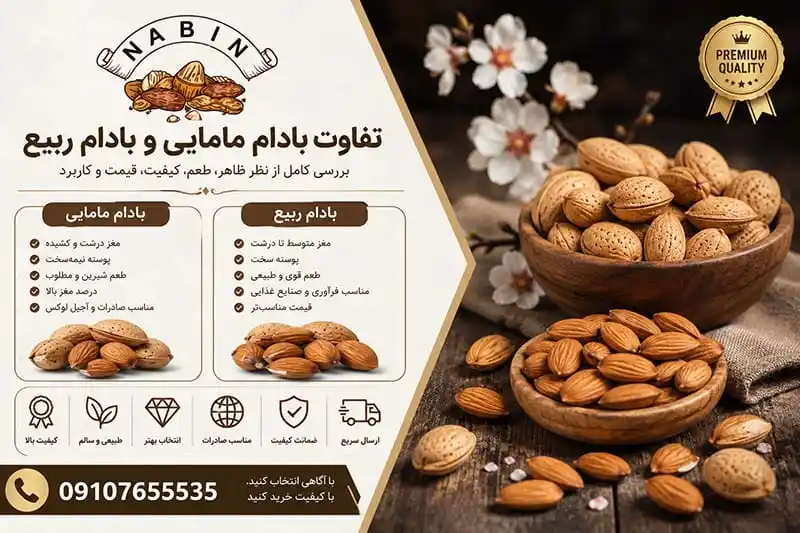 تفاوت بادام مامایی و بادام ربیع