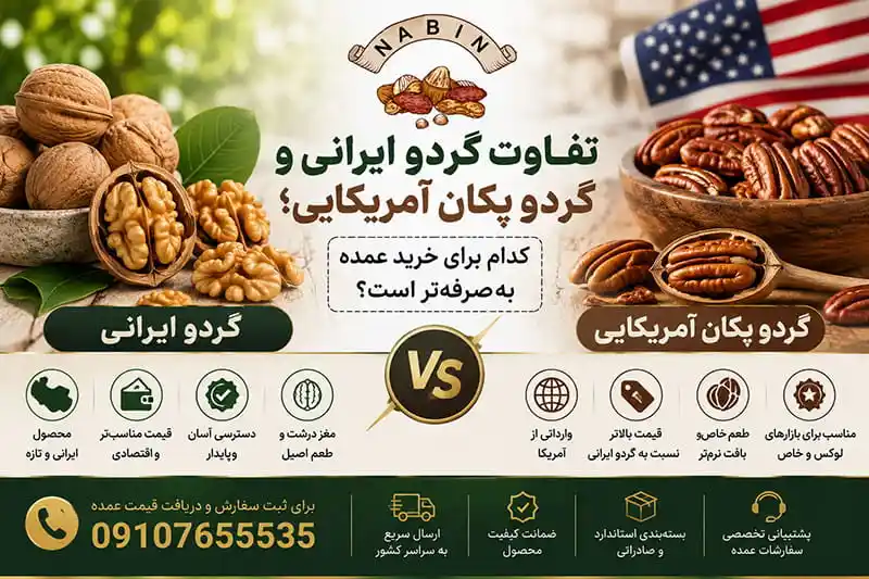 تفاوت گردو ایرانی و گردو پکان آمریکایی؛ کدام برای خرید عمده به‌ صرفه‌ تر است؟