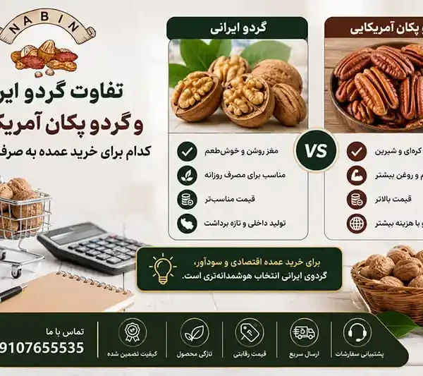 تفاوت گردو ایرانی و گردو پکان آمریکایی؛ کدام برای خرید عمده به‌ صرفه‌ تر است؟
