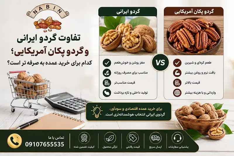 تفاوت گردو ایرانی و گردو پکان آمریکایی؛ کدام برای خرید عمده به‌ صرفه‌ تر است؟