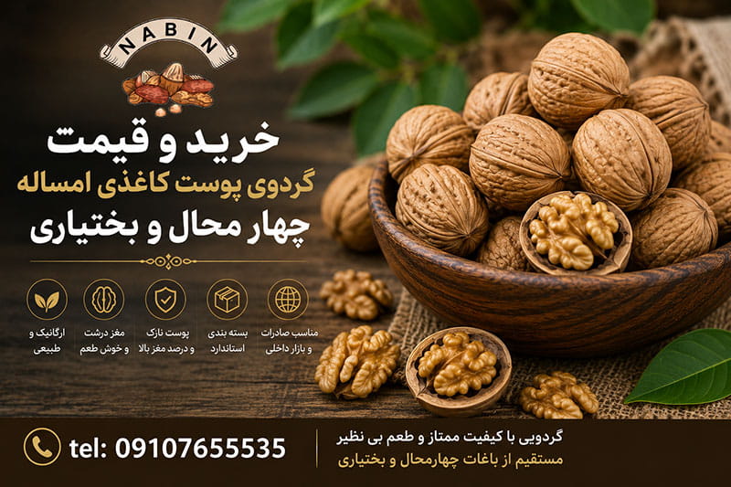 خرید و قیمت گردوی پوست کاغذی امساله چهار محال و بختیاری
