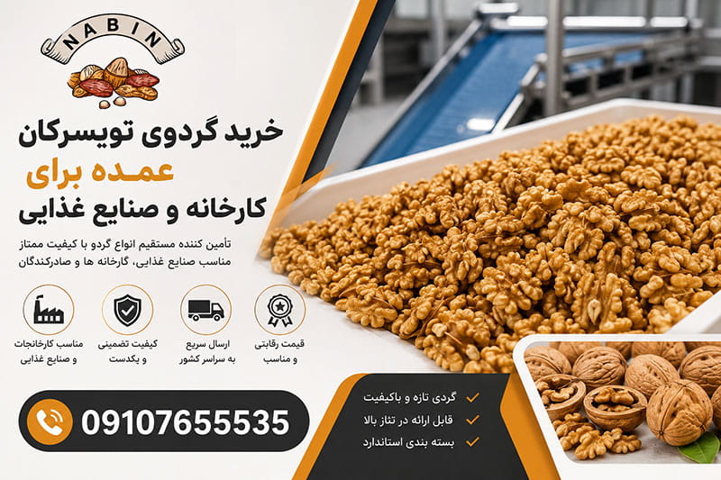 خرید گردوی تویسرکان عمده برای کارخانه و صنایع غذایی