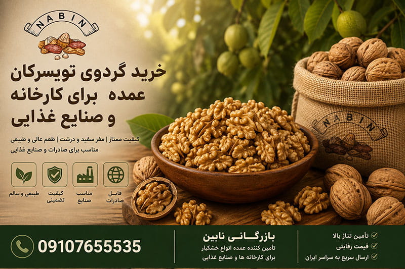 خرید گردوی تویسرکان عمده برای کارخانه و صنایع غذایی
