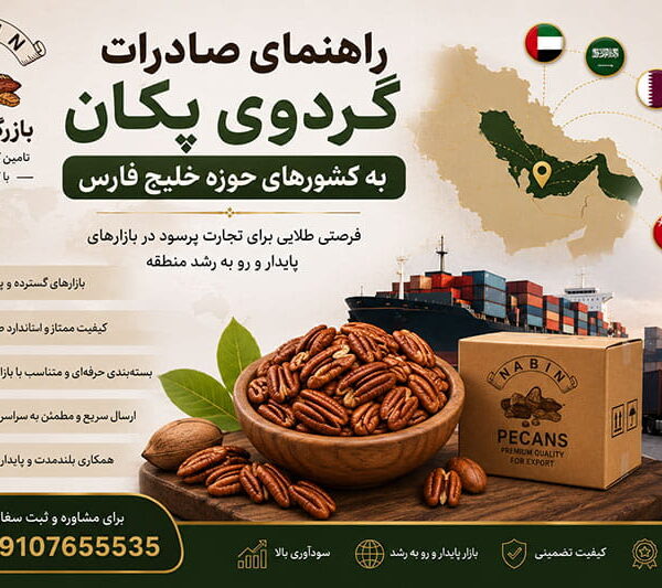 راهنمای صادرات گردوی پکان به کشورهای حوزه خلیج فارس