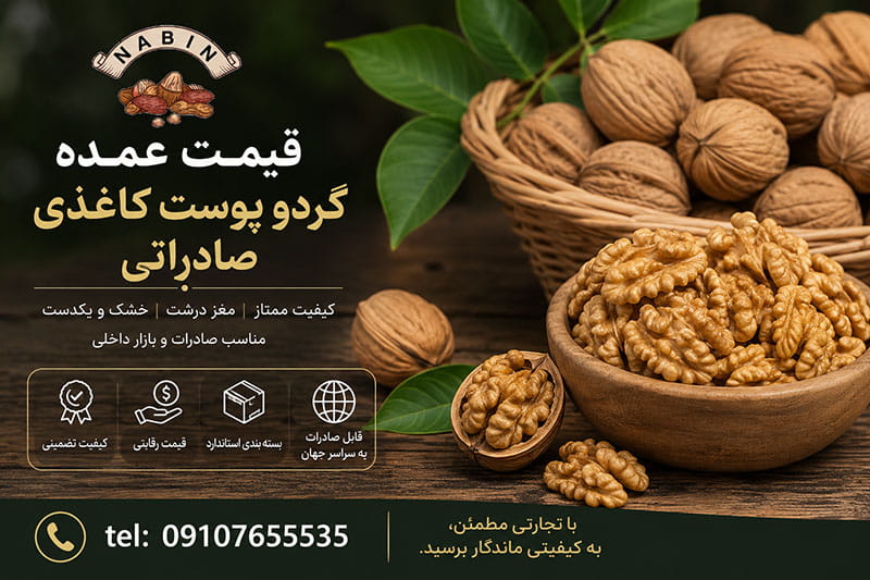 قیمت عمده گردو پوست کاغذی صادراتی
